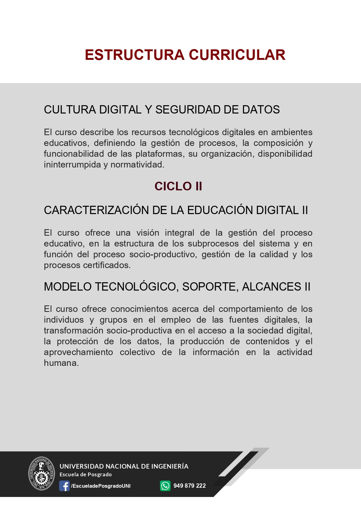 DIPLOMADO EN TECNOLOGIA DIGITAL Y GESTION EDUCATIVA UNI 2023 page 0006